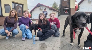 Empatia w praktyce. Brawo dla nastolatek z Bystrzycy!