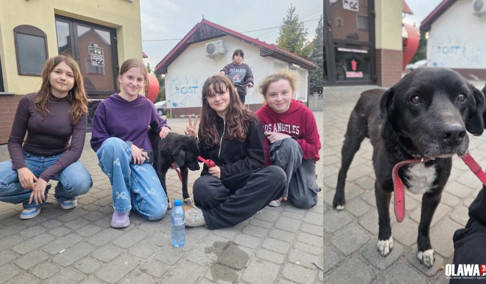 Empatia w praktyce. Brawo dla nastolatek z Bystrzycy!