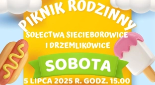 Piknik rodzinny w Siecieborowicach