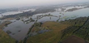 Zakazu wstępu do lasu w Nadleśnictwie Oława