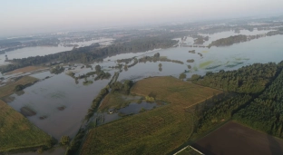 Zakaz wstępu do lasu w Nadleśnictwie Oława