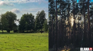 Oławskie szkoły z dofinansowaniem na wycieczki po Dolnym Śląsku