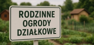 Działkowcu, jak ustrzec się przed złodziejami?