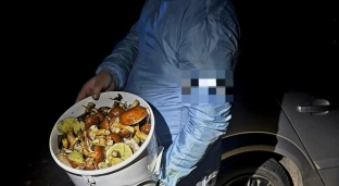 Szczęśliwy finał poszukiwań grzybiarza. Pomógł odblask i szybka reakcja policji