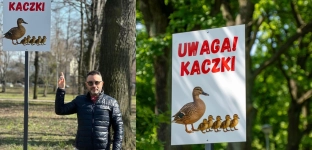 Uwaga na kaczki w parku w Oławie. Znaki są, teraz czas na ostrożność kierowców