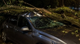 Konar spadł na samochód i mężczyznę. 36-latek trafił do szpitala