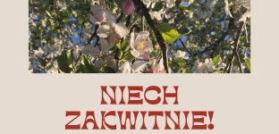 Ceramiczne wazony i kwiaty ze wstążek. Bezpłatne warsztaty w Zakrzowie
