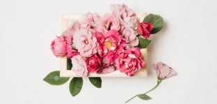 Piwonie do wazonu - sztuczne kwiaty, które wyglądają jak żywe