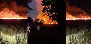 Ogromny pożar zboża w Oleśnicy Małej.  Spłonęło blisko czterdzieści hektarów!