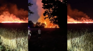 Ogromny pożar zboża w Oleśnicy Małej.  Spłonęło blisko czterdzieści hektarów!