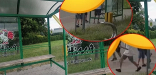 Szyba w kolejnej wiacie przystankowej znowu wybita. Kamery uchwyciły sprawców, mają czas do 2 lipca
