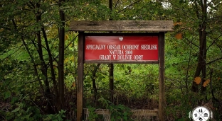 Miejsca idealne na wielkanocny spacer w okolicy Oławy
