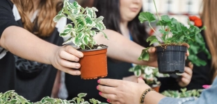 Elektrośmieci oddajesz - sadzonkę dostajesz