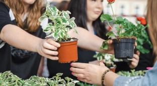 Elektrośmieci oddajesz - sadzonkę dostajesz