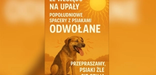 Popołudniowe spacery z psiakami zawieszone z powodu upałów