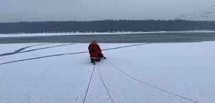Gęś uwięziona w lodzie. Na ratunek ruszyli strażacy