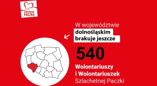 Szlachetna Paczka: Potrzeba jeszcze 540 wolontariuszy!