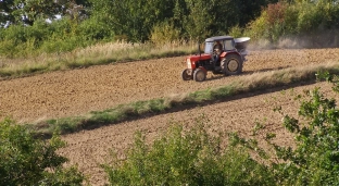 Kamienie na polu niszczą maszyny rolnicze? Znamy rozwiązanie
